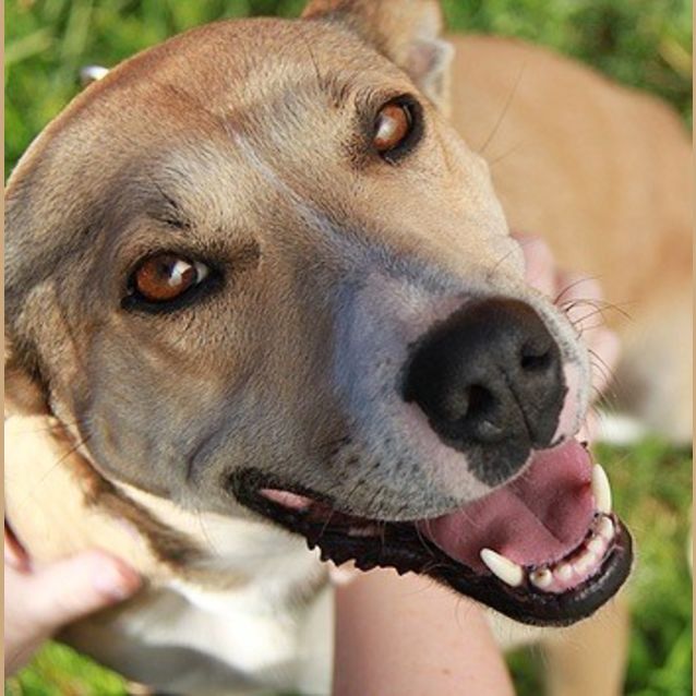 Photo of Mishka