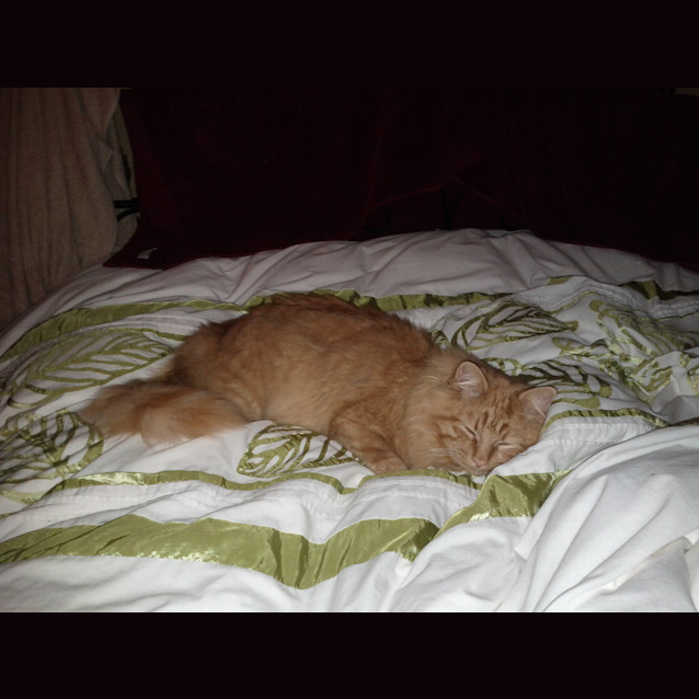 Photo of Monsieur Montago   The Original Ladies Man!