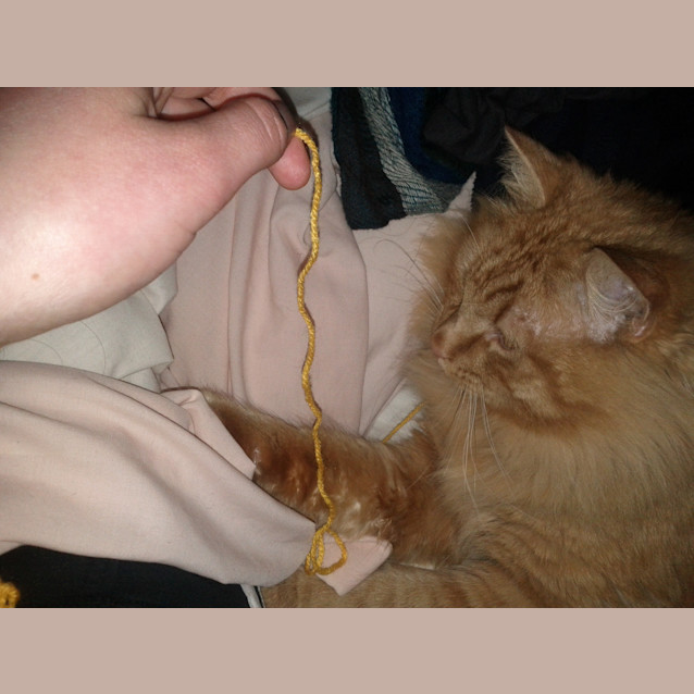 Photo of Monsieur Montago   The Original Ladies Man!