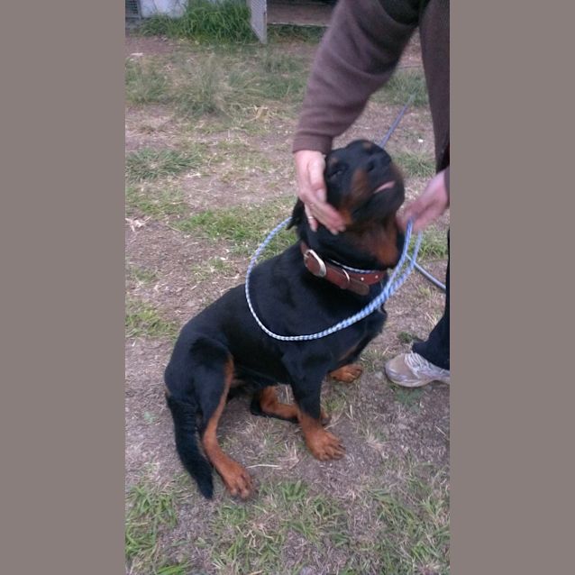 Photo of Kaiser