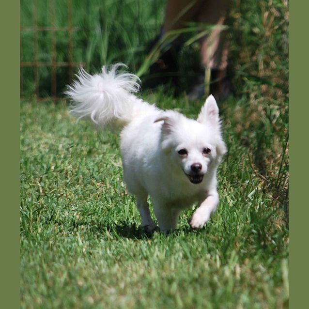 Photo of Tinkerbelle