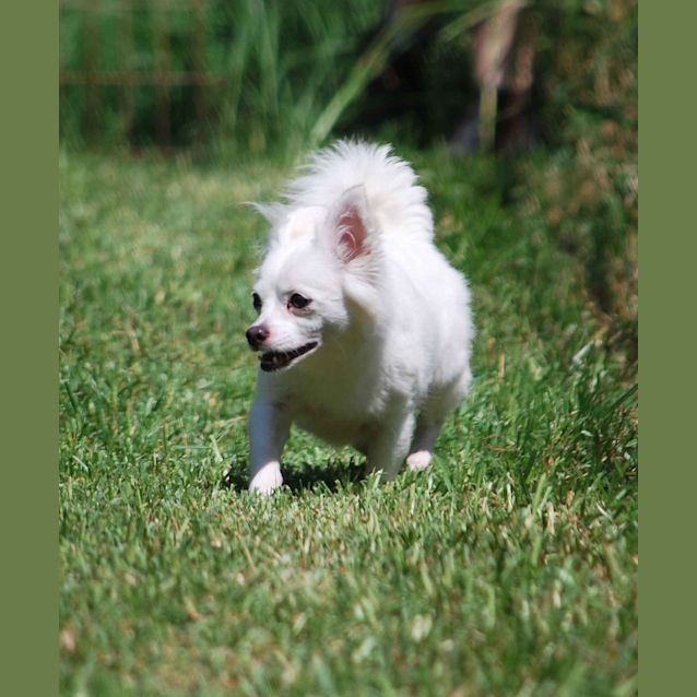 Photo of Tinkerbelle