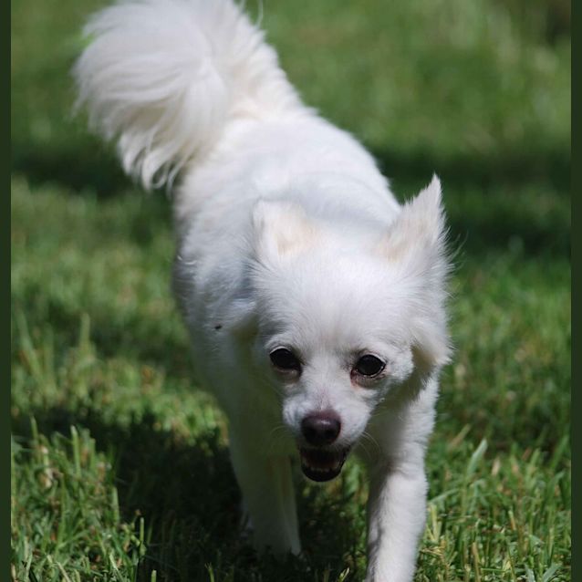 Photo of Tinkerbelle