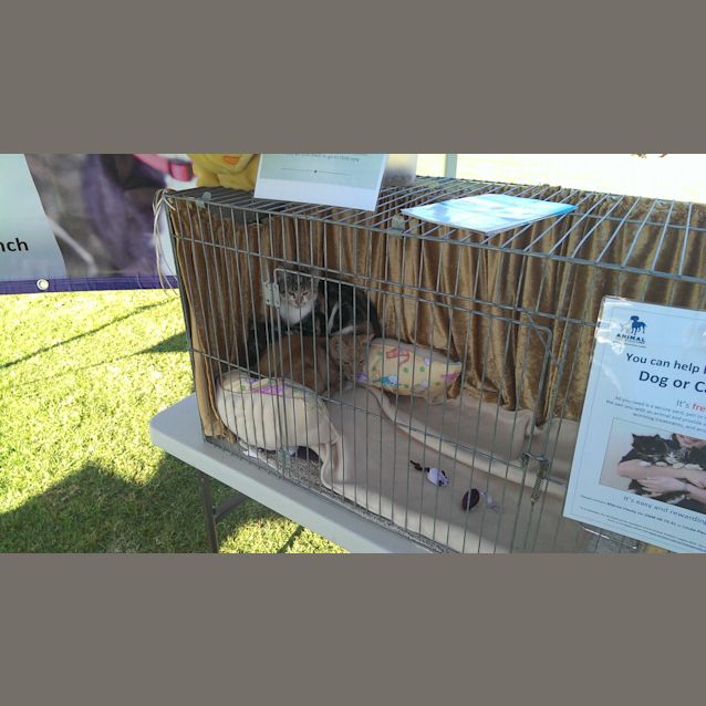 Photo of Princess Torti