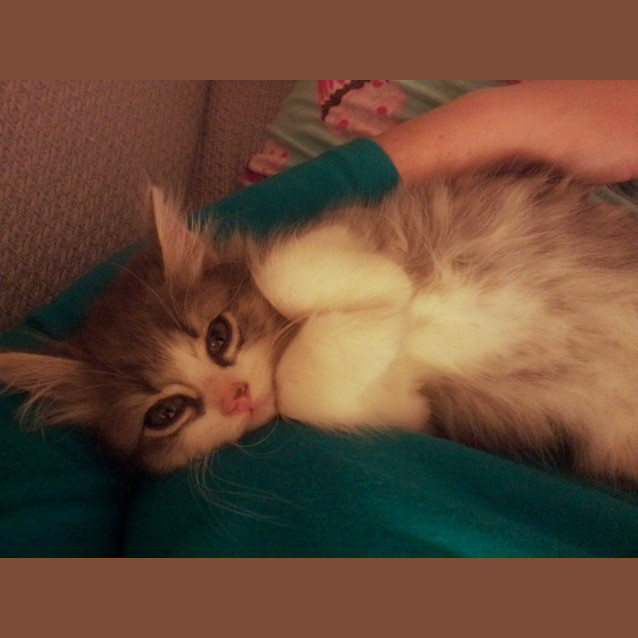 Photo of Horatio