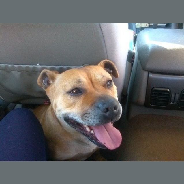 Photo of Tess