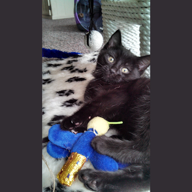 Photo of Cleo