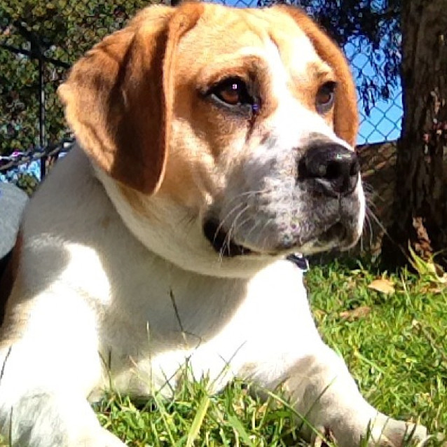 Photo of Winston