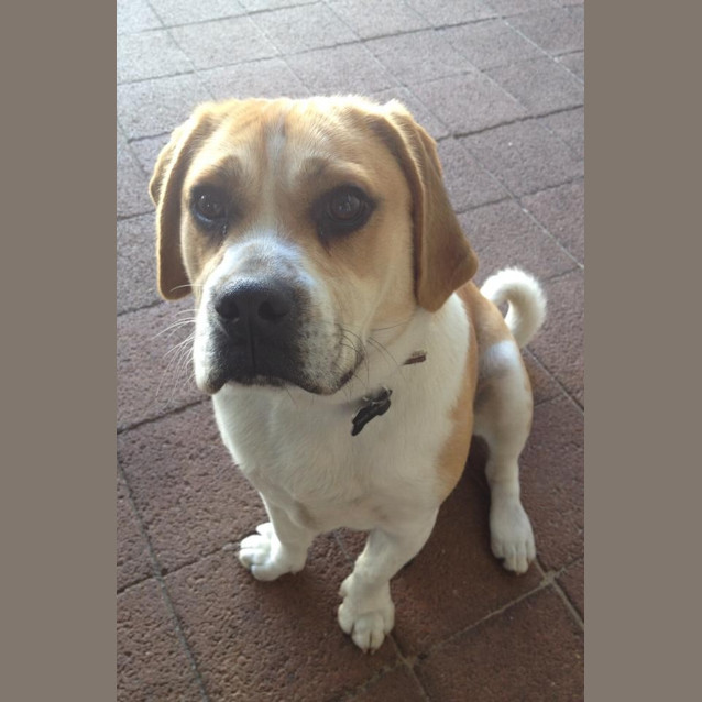 Photo of Winston