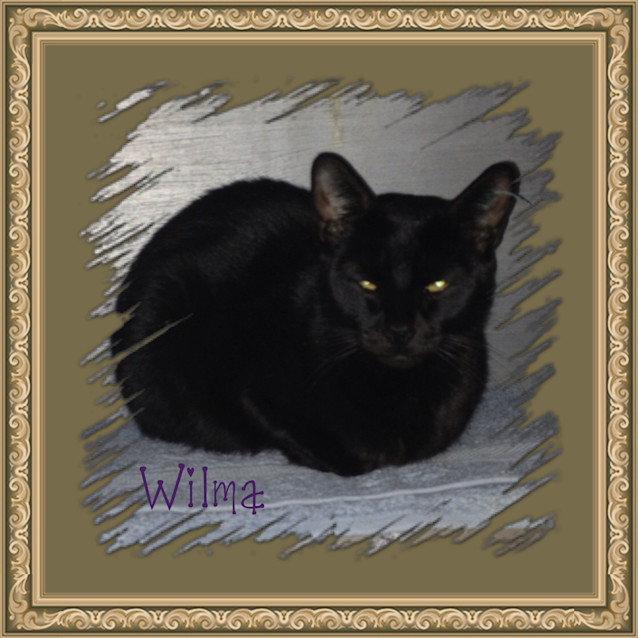 Photo of Wilma