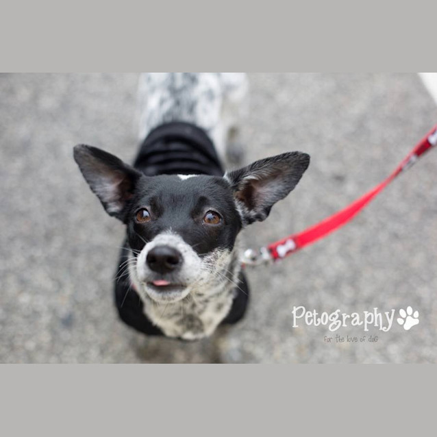 Photo of Flossy