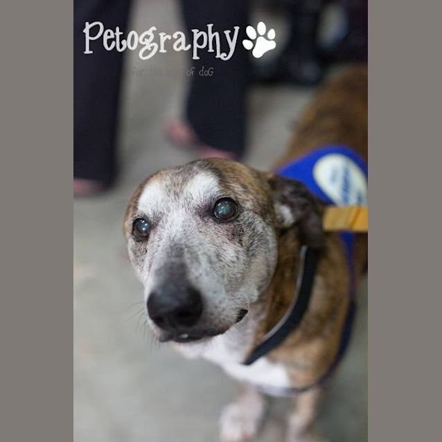 Photo of Fletch