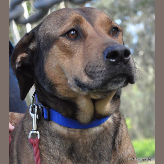 Photo of Ruby