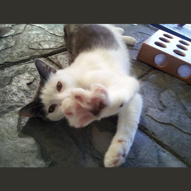 Photo of Noddy