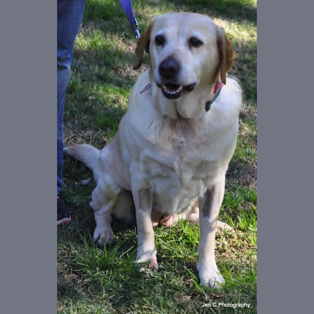 Photo of Roxy