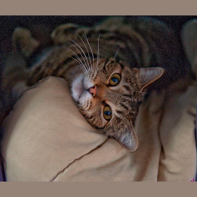 Photo of Bobby Id16984