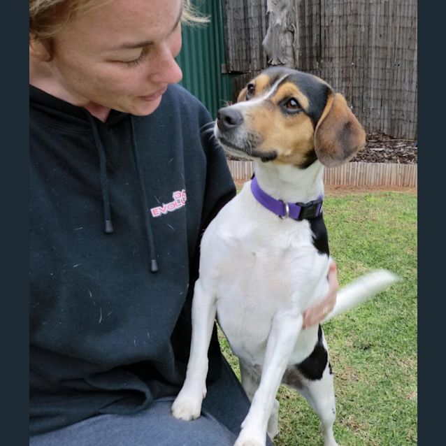 Photo of Tara *On Trial In Her New Home*