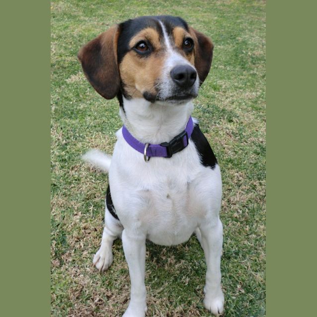 Photo of Tara *On Trial In Her New Home*