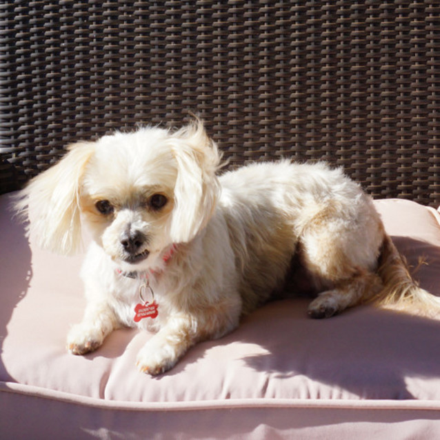Photo of Bonnie