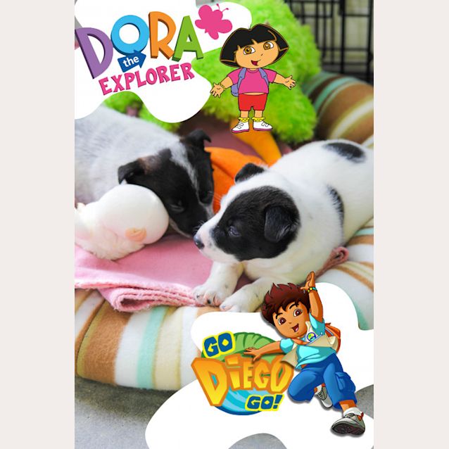Photo of Diego
