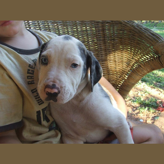 Photo of Roxie