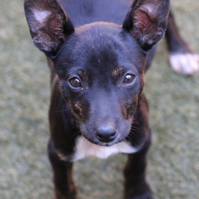 Photo of Lucie