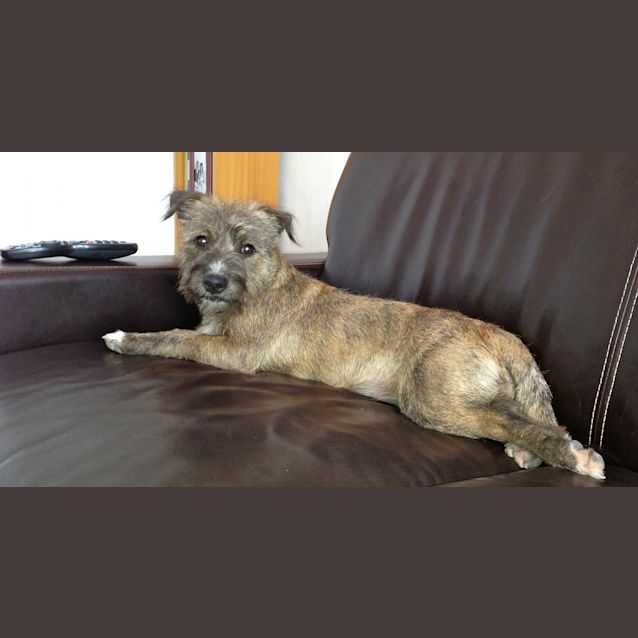 Photo of Missy 