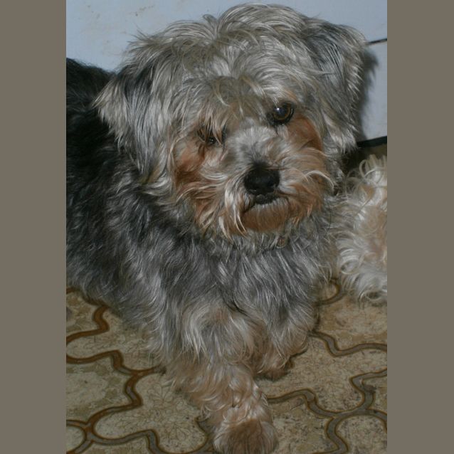 Photo of Missy