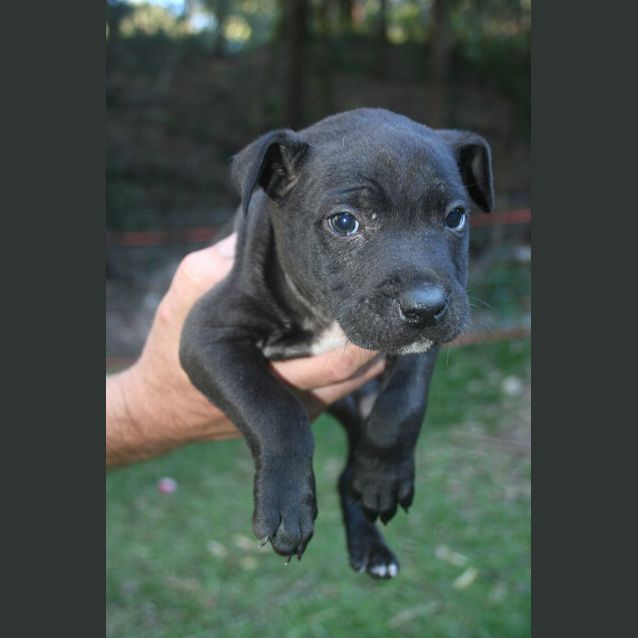 Photo of Bruce