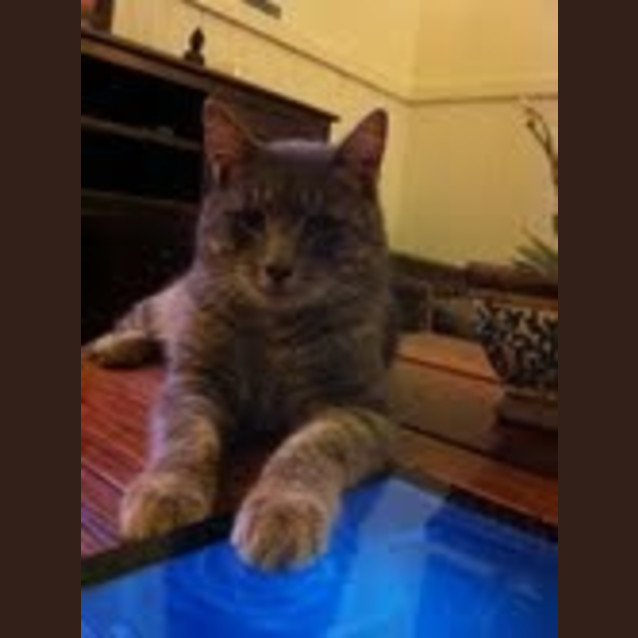 Photo of Tom