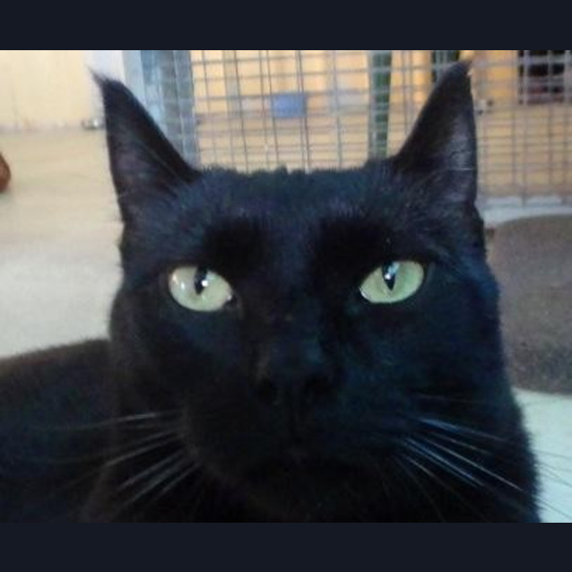 Photo of Nigel