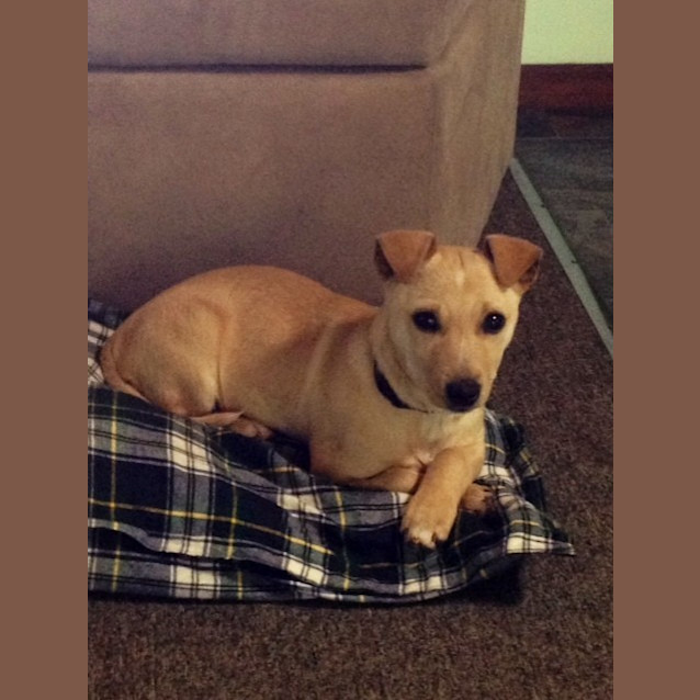 Photo of Narla