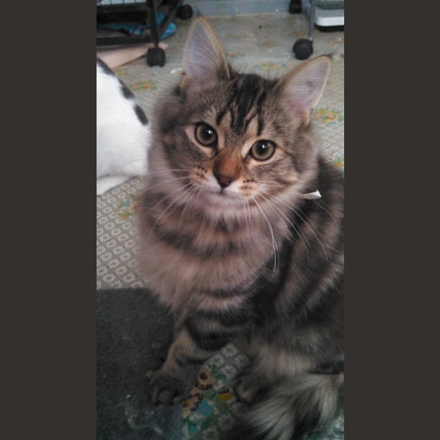 Photo of Valentino