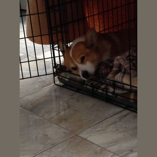 Photo of Benny
