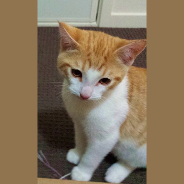 Photo of Tully