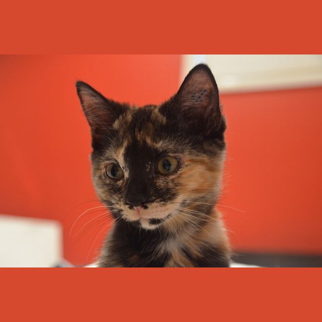 Photo of Molly