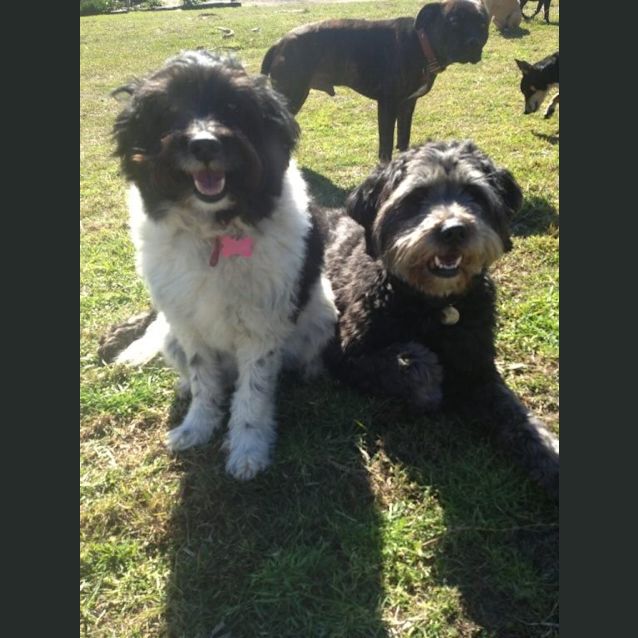 Photo of Tessa & Charlie