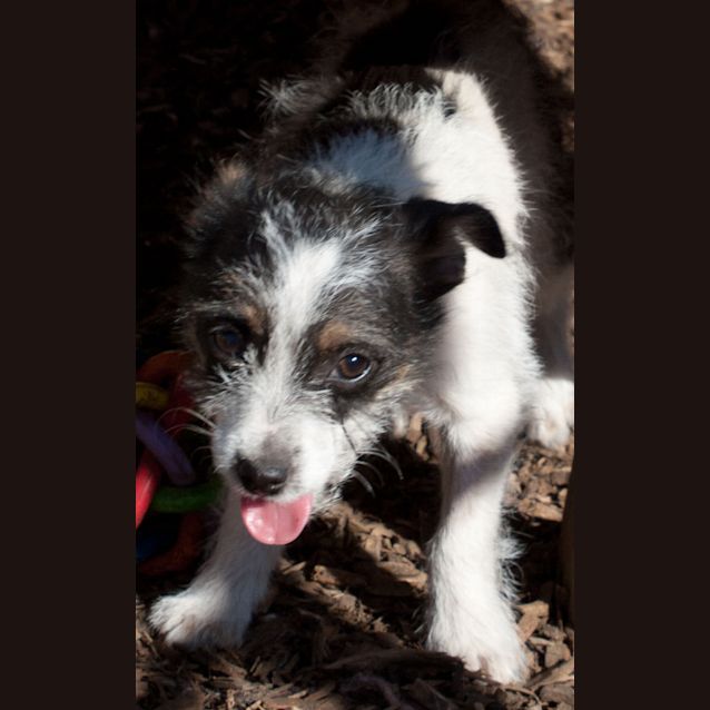 Photo of Keitha