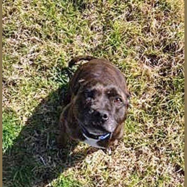 Photo of Minky