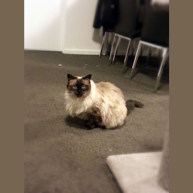 Photo of Rosie