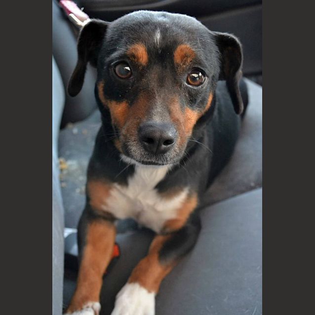 Photo of Gemima ***No More Enquiries Please***