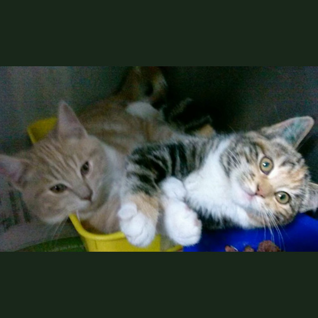 Photo of Bowie And Gia Marie