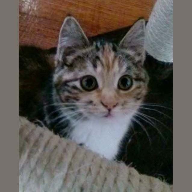 Photo of Bowie And Gia Marie