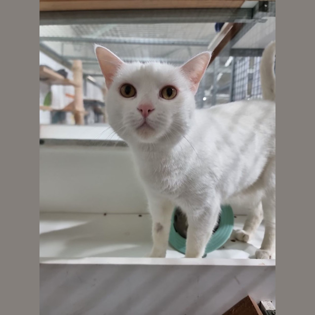 Photo of Catrick Swayze 