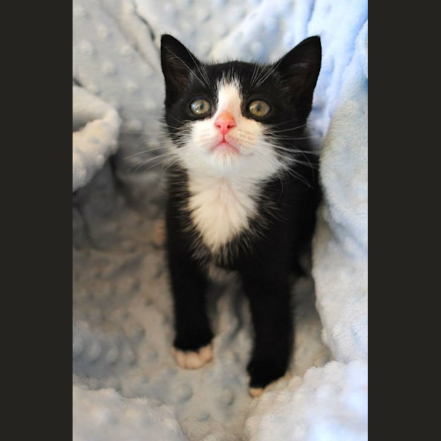 Photo of Popeye
