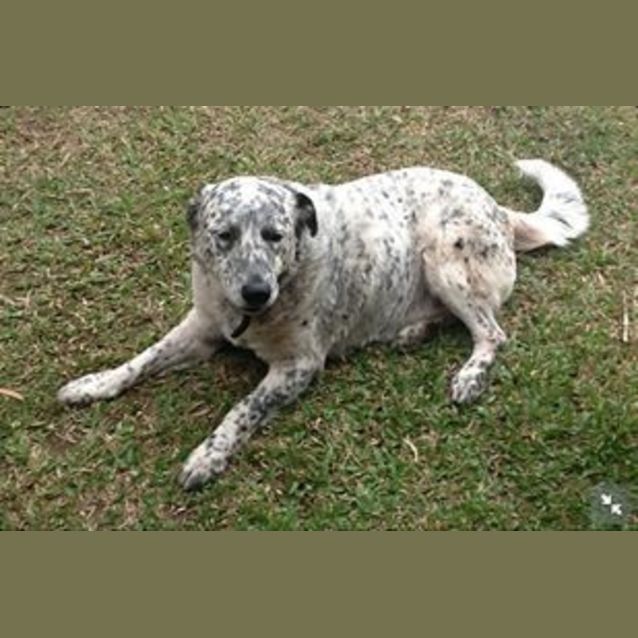 Photo of Teddy
