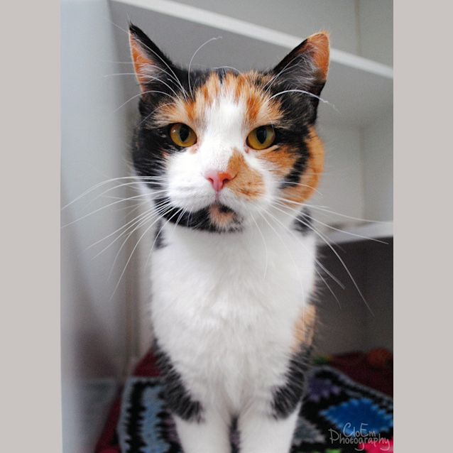 Photo of Ruby
