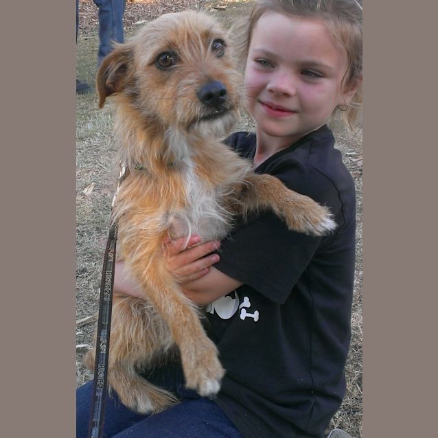 Photo of Charlie (Adoption Pending)