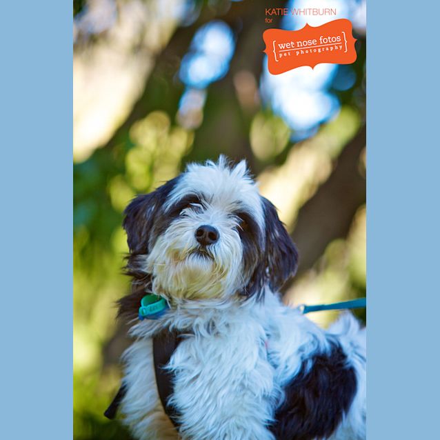 Photo of Patch