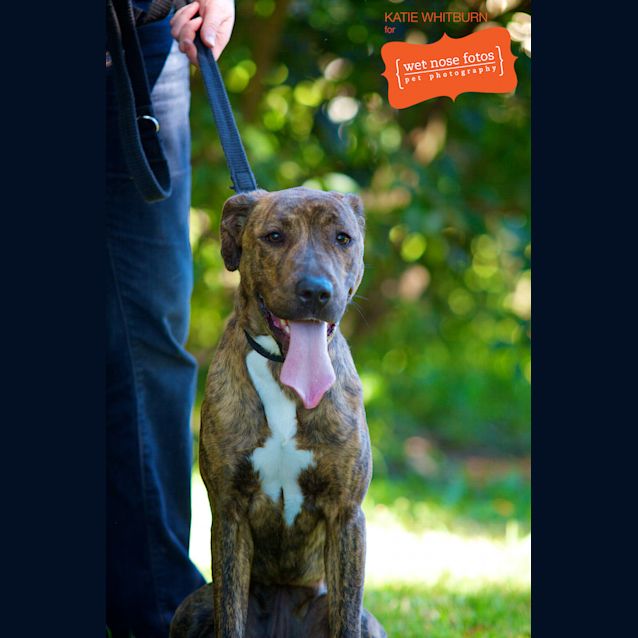 Photo of Sweetie